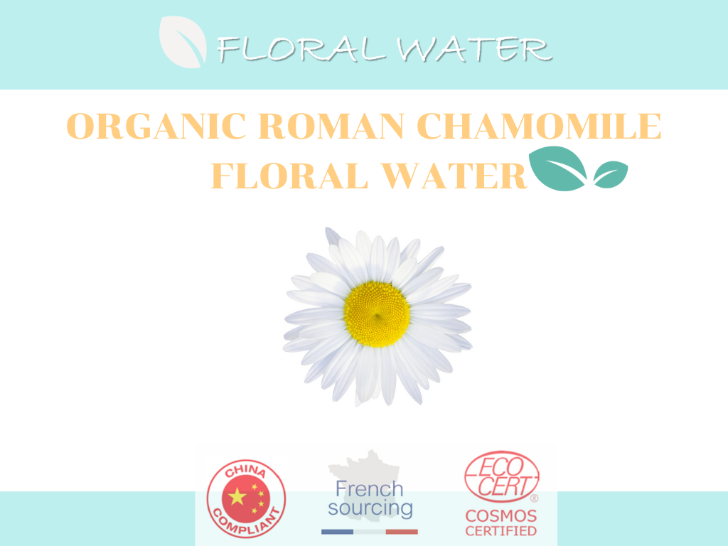 Organic Roman Chamomile Floral Water  น้ำดอกคาโมมายล์ออแกนิค ช่วยลดการอักเสบ รอยแดง การแพ้ ระคายเคือง